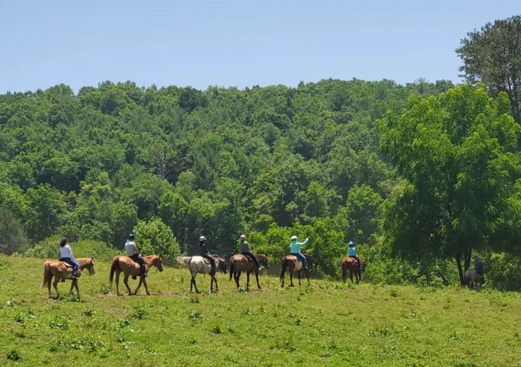 Trail Ride Group