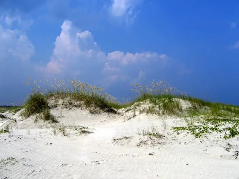 Sea Island Georgia Beach sand dunes and grass