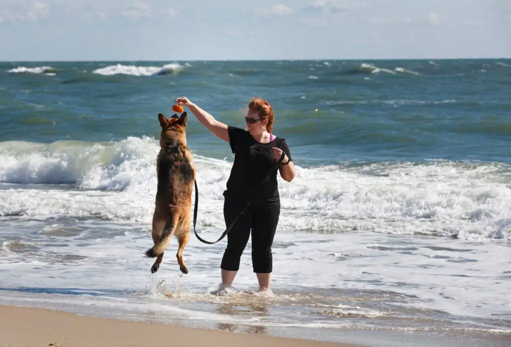 Woman with dog on SC Beach