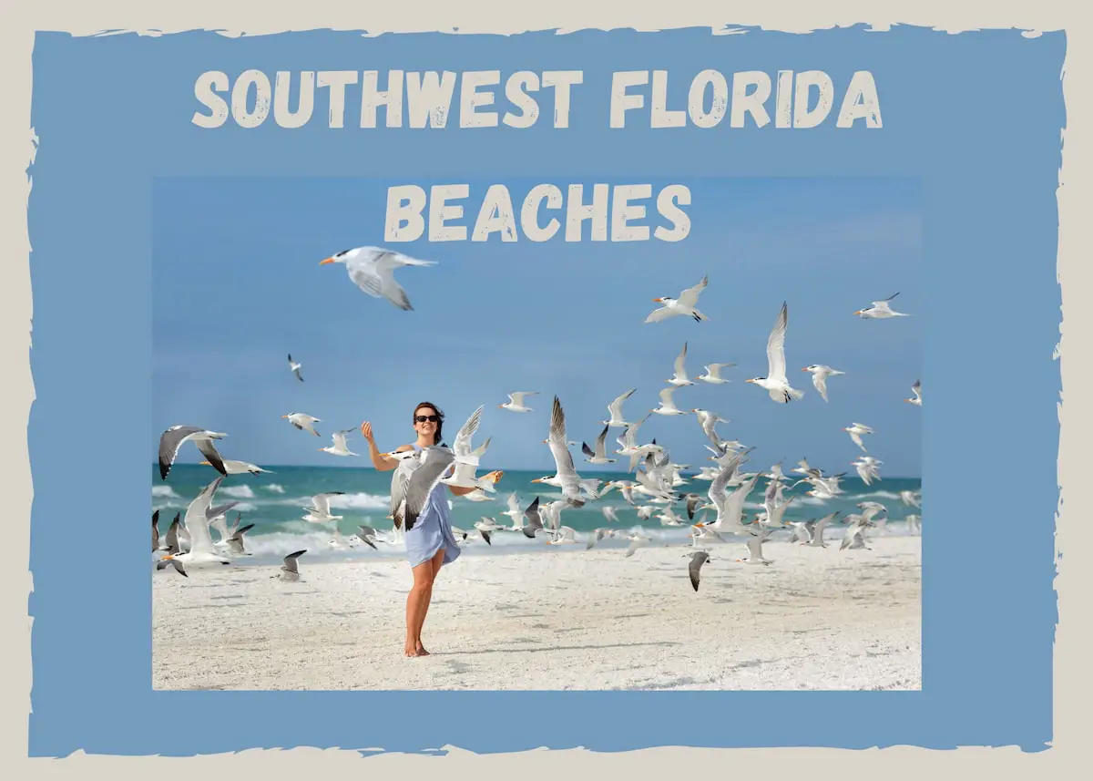 Southwest Florida Beaches Graphic