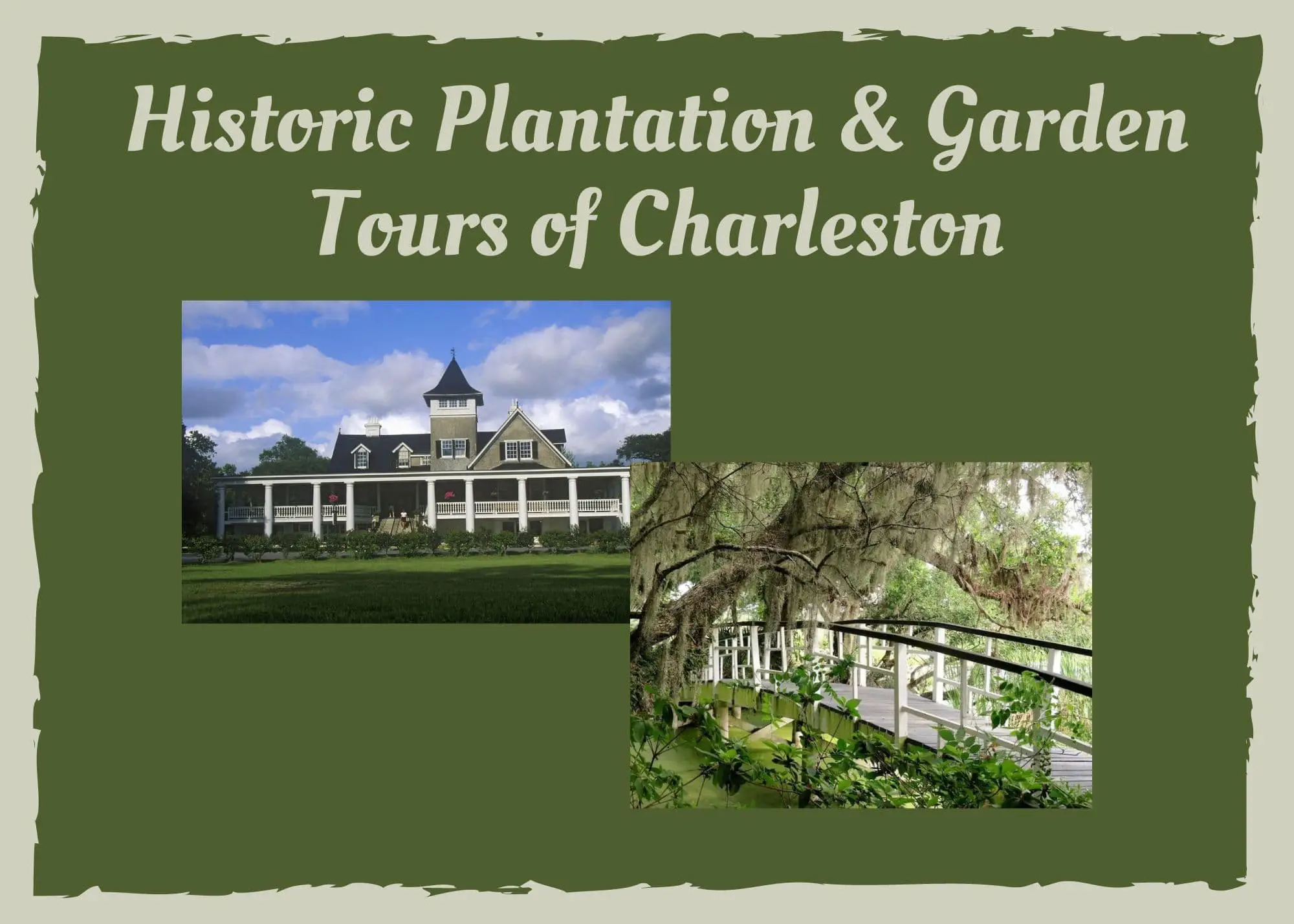 Historic Plantations to See in Charleston SC