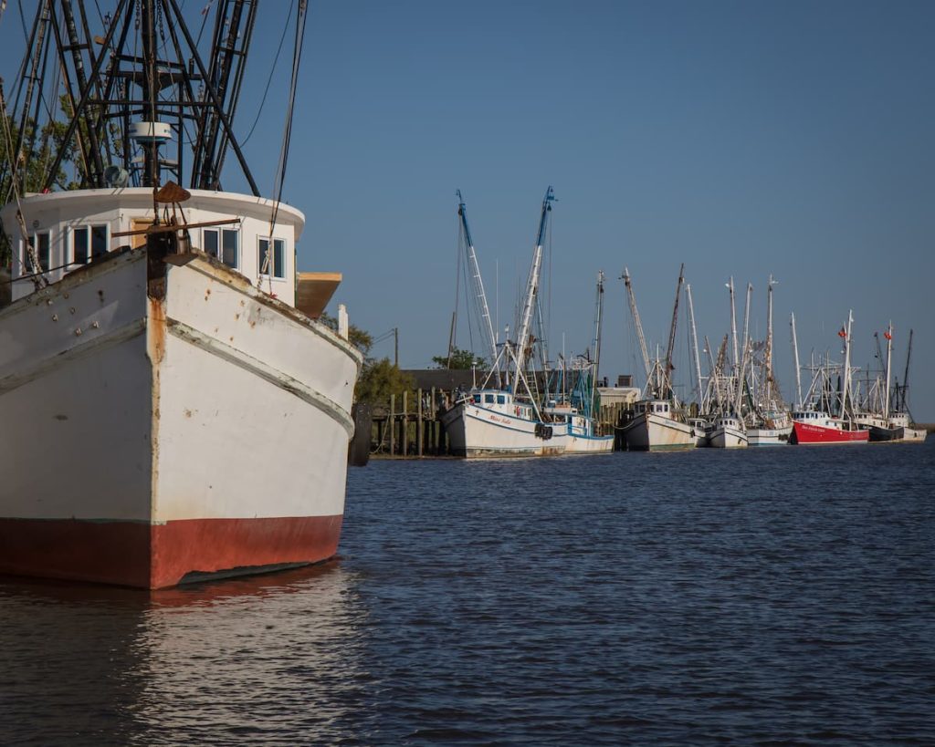 Shrimp boats docked at a commercial marina in florida