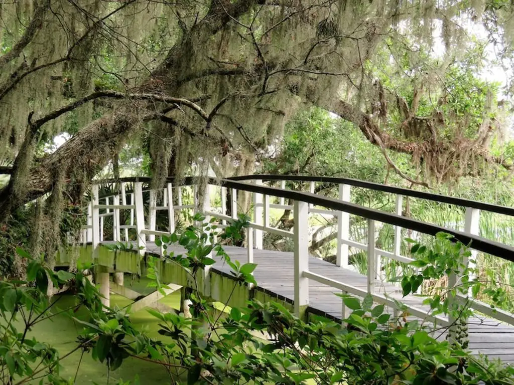Iconic bridge at Magnolia Plantation in Charleston, SC