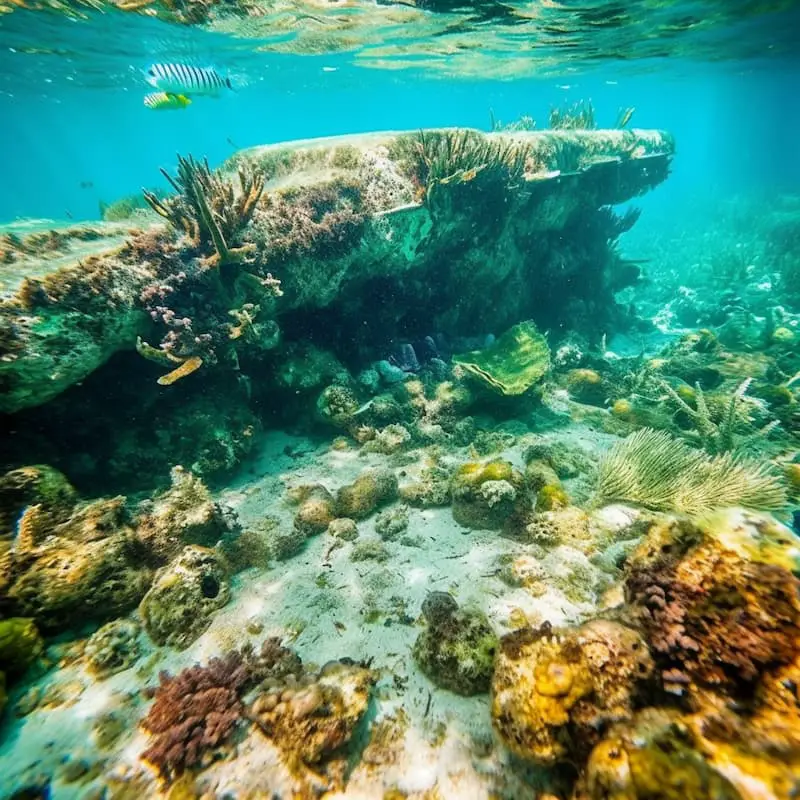 Looe Key Reef Underwayer - MidJourney