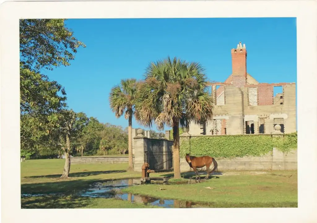 Front-of-Dungeness-ruins-historical-site-on-cumberland-island